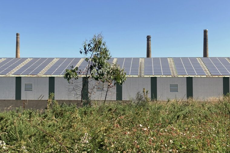 Fotovoltaicas lendo