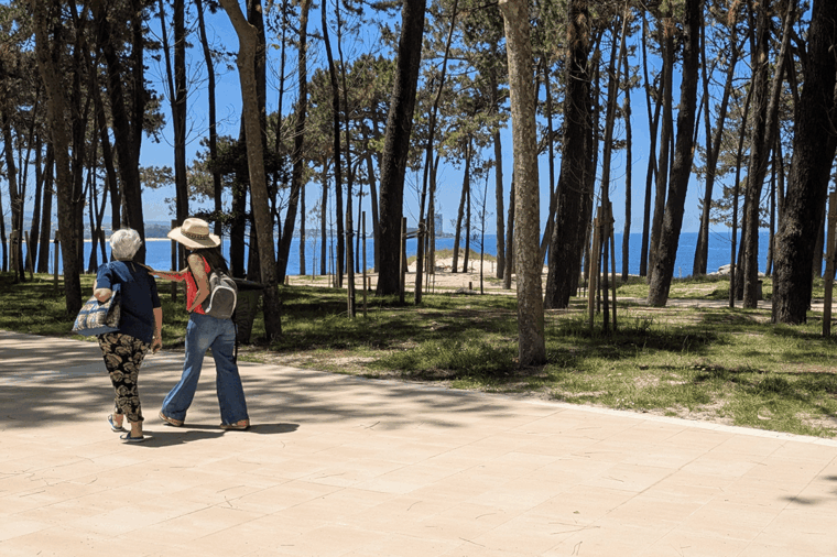 Renovacion avenida de samil ceramica campo 5